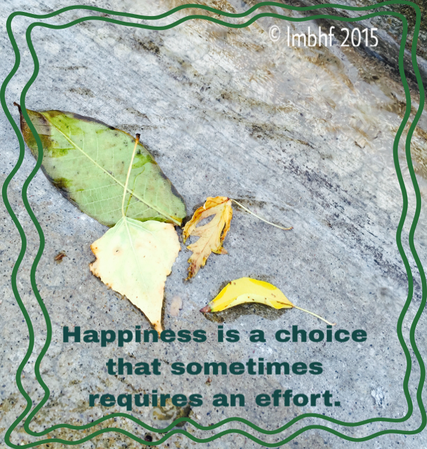 Sometimes Happiness Requires an Effort