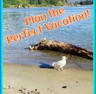 Plan the Perfect Vacation