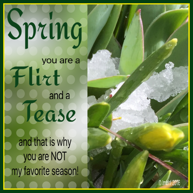 Spring, You're a Flirt and a Tease!