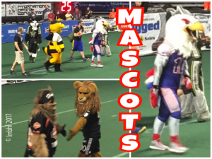 Mascots at the Football Game!